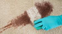 Carpet Cleaning Springfield Lakes image 2